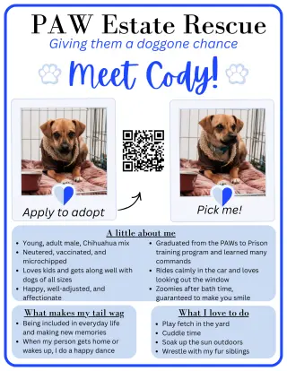 Cody