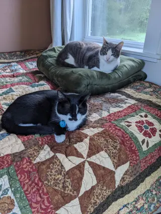 zz "Milo & Olive" courtesy listing