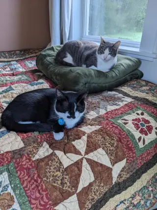 zz "Olive & Milo" courtesy listing