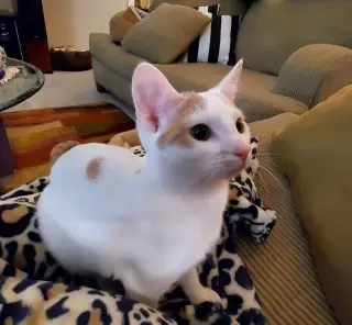 Magical (Gigi)
