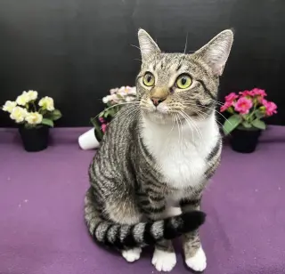 Lena