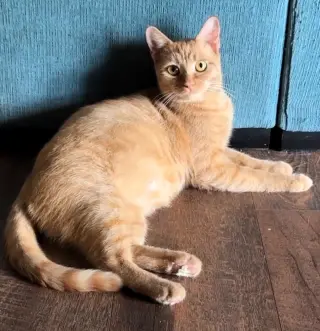 Soleil