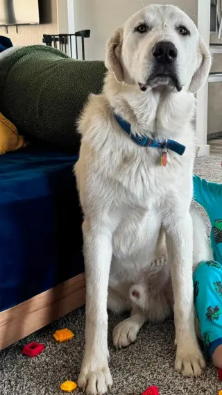 Ghost