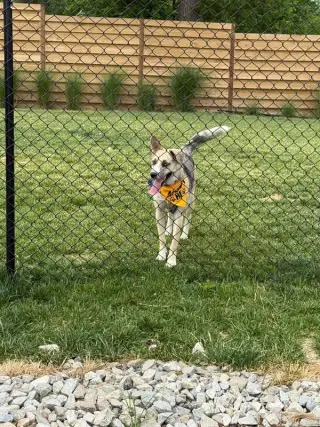 Flora
