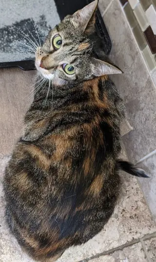 Sally