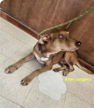 Rusty
