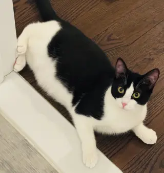 Eddie