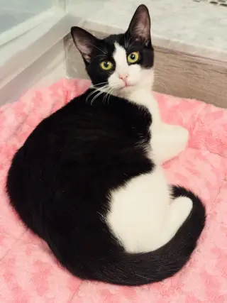 Eddie