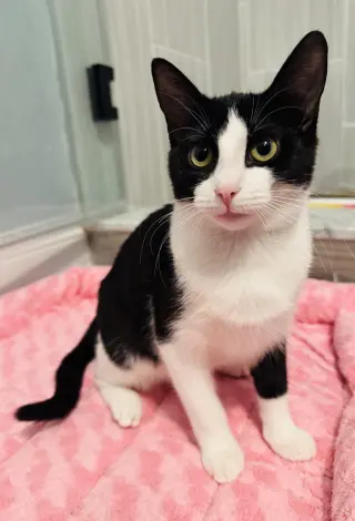 Eddie