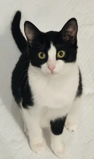 Eddie