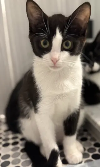 Eddie
