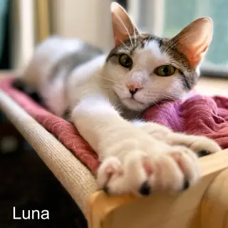 Josie & Luna