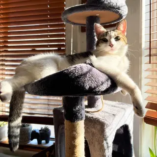 Josie & Luna