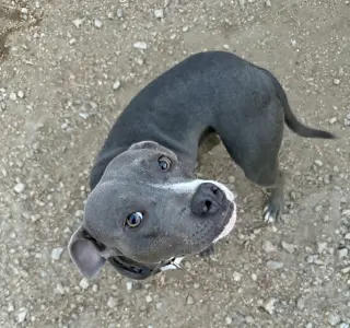Tilla