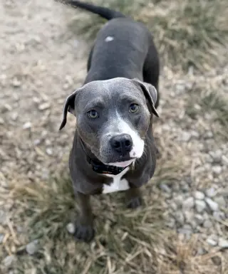 Tilla