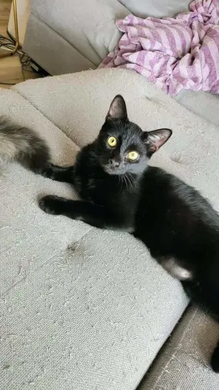 Wink