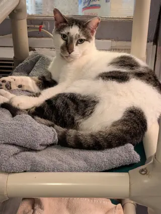 Pretty Boy