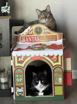 King Tuxy