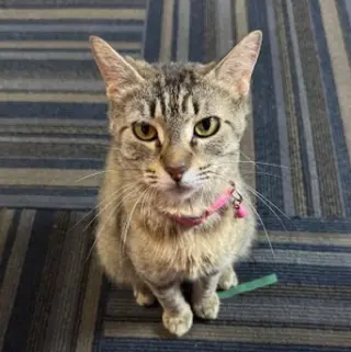 Lily #seeks-out-affection