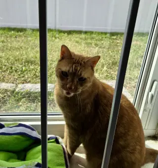 Leo