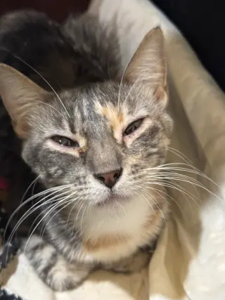 Raquel Butterscotch