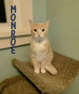 Monroe