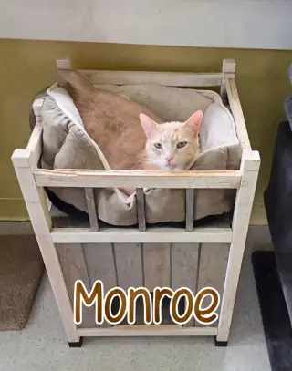 Monroe