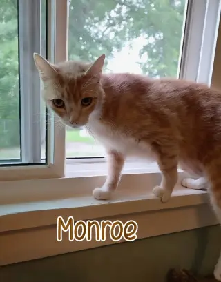 Monroe