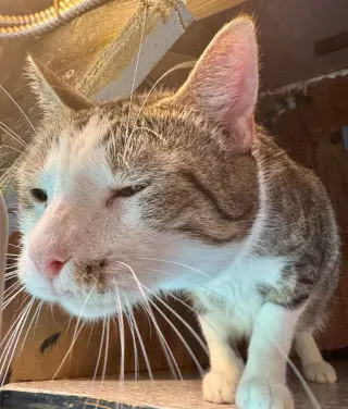 Catrick Swayzee