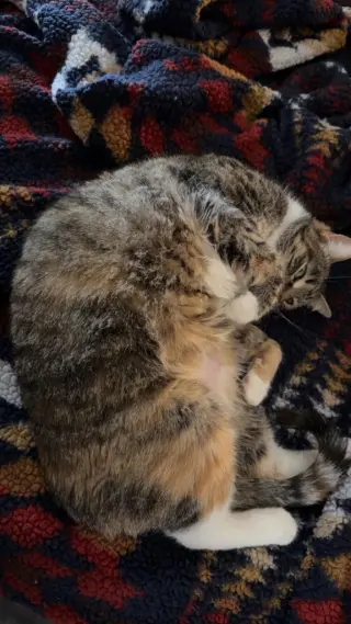Marley