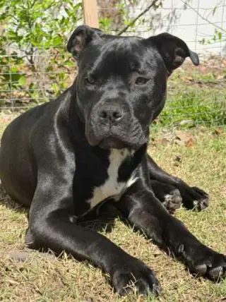 Magneto AKA Cash *BONDED* with Mystique AKA Cali