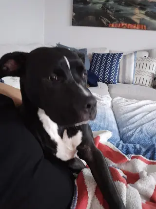 Mystique AKA Cali *BONDED* with Magneto AKA Cash