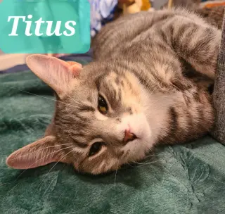 Titus