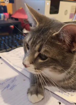Titus