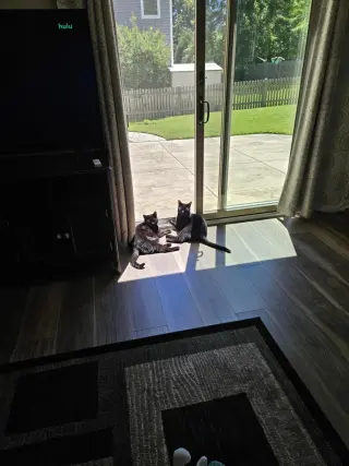 Dizzy