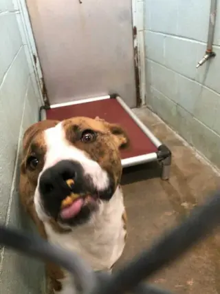 Tucker