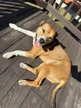 Walter 0573