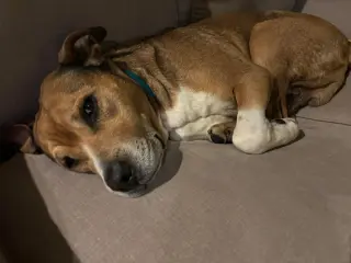 Walter 0573