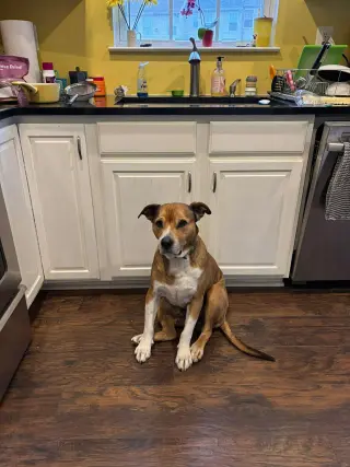 Walter 0573