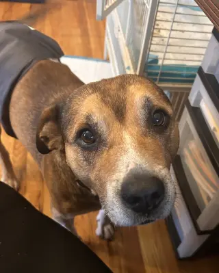 Walter 0573