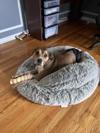 Walter 0573