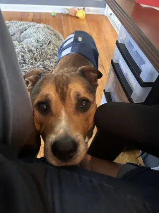 Walter 0573