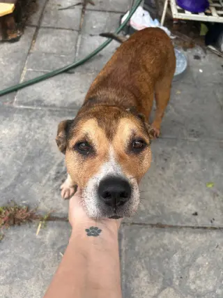 Walter 0573
