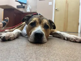 Walter 0573