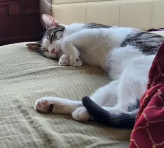 Yukio