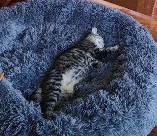 Nyx