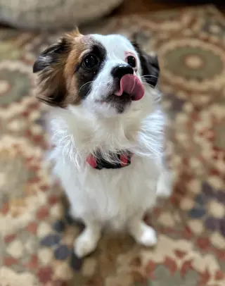 Truman