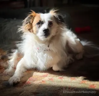 Truman