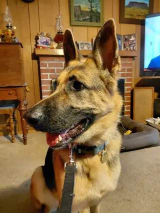 Josie C.