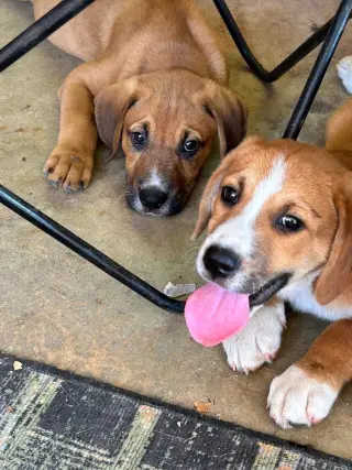 Dave and Jeff
